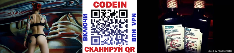 kraken зеркало  Петровск-Забайкальский  Кодеин Purple Drank  наркотики 