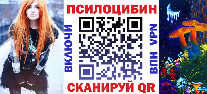купить наркоту Петровск-Забайкальский Псилоцибиновые грибы Cubensis