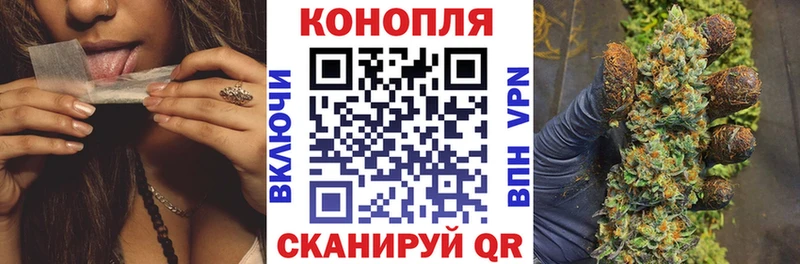 Бошки Шишки White Widow  магазин продажи наркотиков  Петровск-Забайкальский 